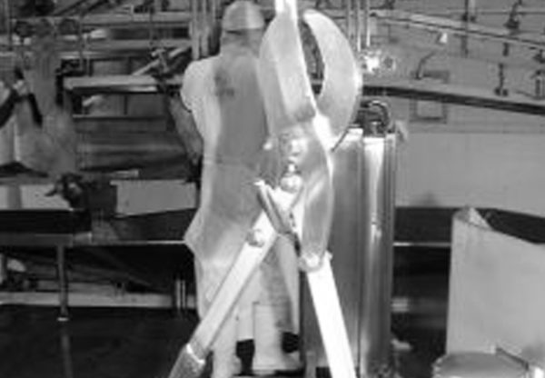Abattoir equipment: stainless steel loppers